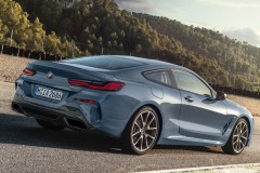 BMW 8 sērija G15 Kupeja 2018 - 2022 foto 10